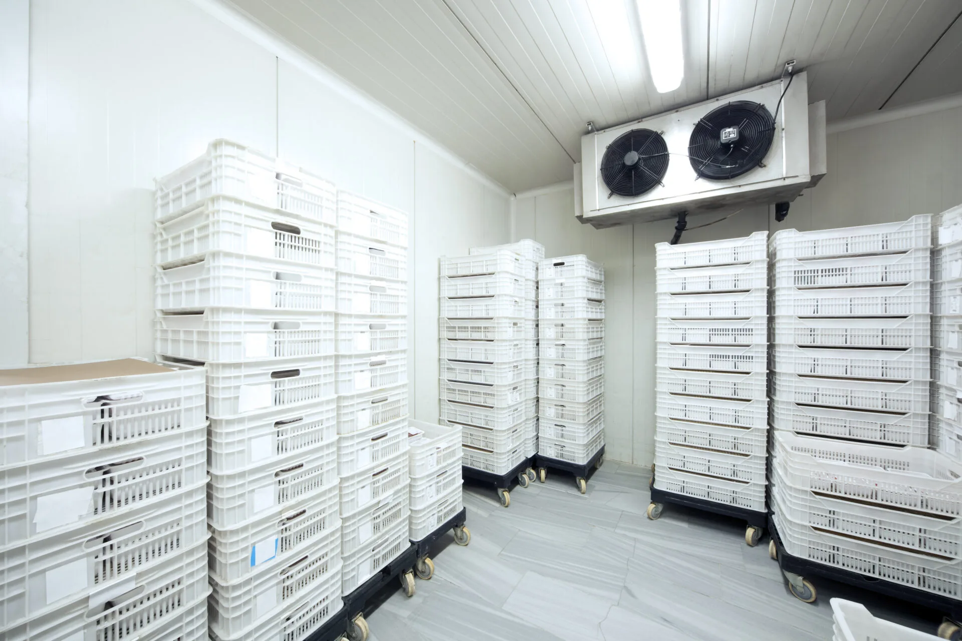 Commercial cold storage room with stacked produce crates and ceiling-mounted evaporator unit